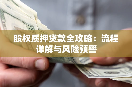 北京股权质押贷款全攻略：流程详解与风险预警