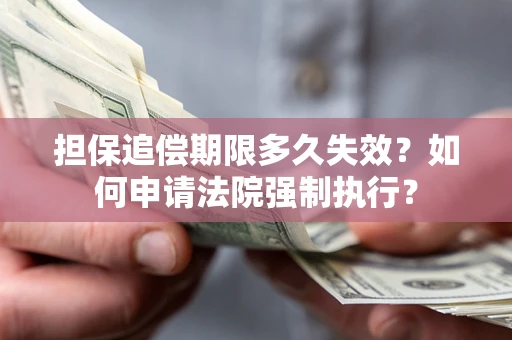 北京担保追偿期限多久失效？如何申请法院强制执行？