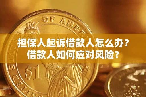 北京担保人起诉借款人怎么办？借款人如何应对风险？