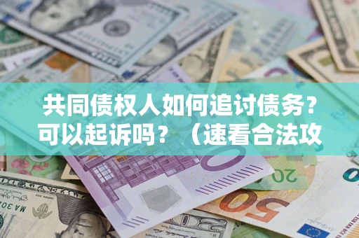 北京共同债权人如何追讨债务？可以起诉吗？（速看合法攻略）
