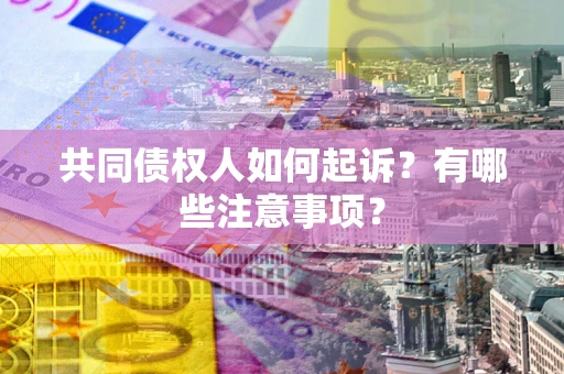 北京共同债权人如何起诉？有哪些注意事项？