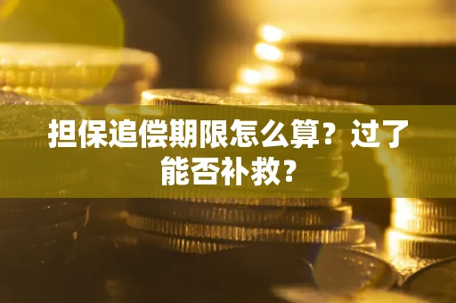 北京担保追偿期限怎么算？过了能否补救？